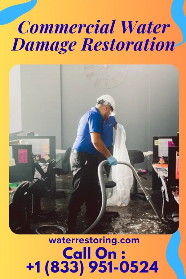Commercial Water Damage Restoration in Spring Grove, IN