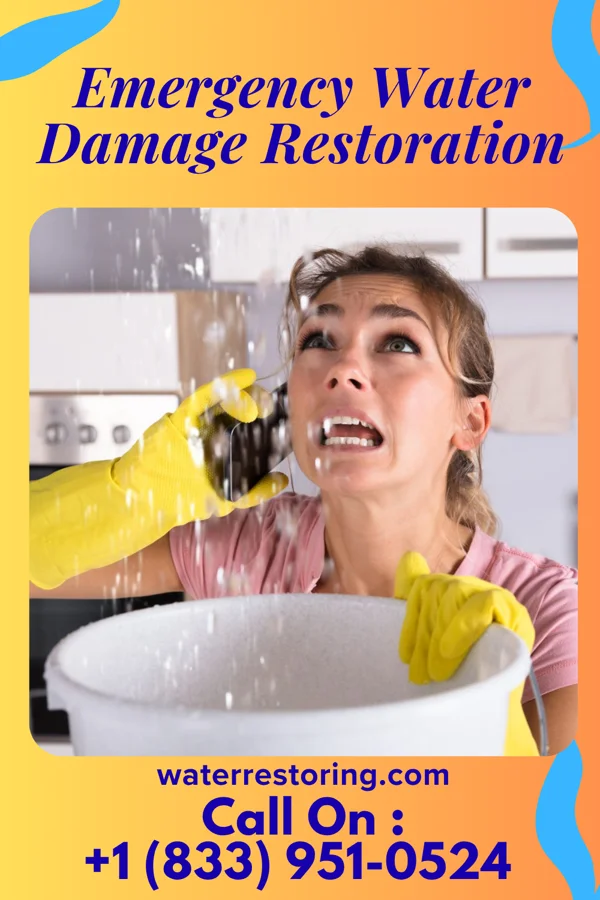 Emergency Water Damage Restoration in Spring Grove, IN